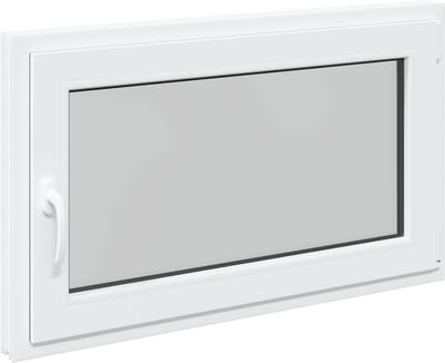 vidaXL - Kantel- - en - Draai - Kelderraam - RISOR - 100 - x - 60 - cm