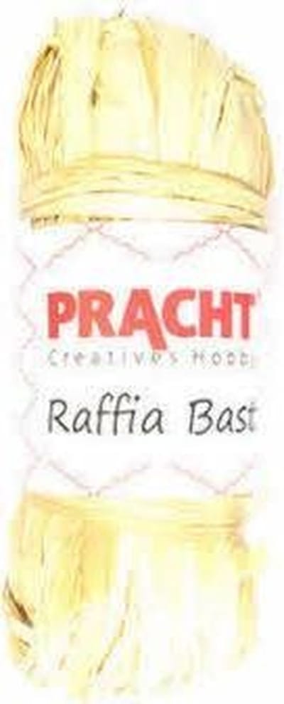 4501-00541 Raffiabast natuur gebleekt 50gram