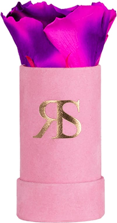 Flowerbox longlife Ivy "You are delicious" tornado roze - Rosuz– Gratis cadeau verpakt! Luxe Valentijnsdag Cadeau voor Haar - In Elegante Valentijnsdoos - Perfect Cadeautje voor Vrouwen