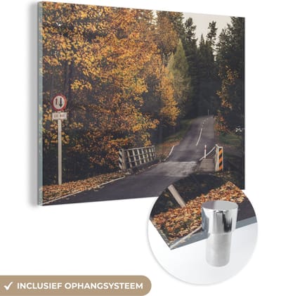 MuchoWow® Glasschilderij 40x30 cm - Schilderij acrylglas - Bomen - Weg - Herfst - Foto op glas - Schilderijen