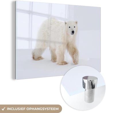MuchoWow® Glasschilderij 60x40 cm - Schilderij acrylglas - IJsbeer - Sneeuw - Wit - Foto op glas - Schilderijen