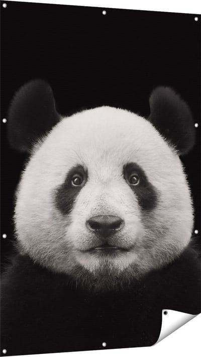 Gards Tuinposter Panda - Pandakop - 100x150 cm - Tuindoek - Tuindecoratie - Wanddecoratie buiten - Tuinschilderij