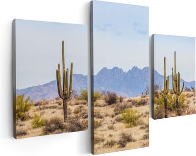 Artaza Canvas Schilderij Drieluik Cactussen in de Woestijn - 90x60 - Foto Op Canvas - Canvas Print