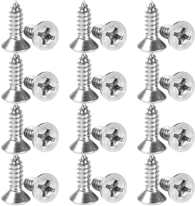 Dailygoods- Houtschroeven 100 stuks - Zelftappende Schroeven - Kruiskop/Platte Kop - Voor Hout/Toepassingen - Roestvrij Staal - Hoge Stabiliteit