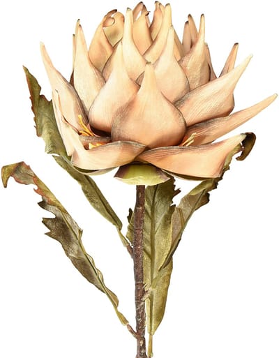 Kunstplant artisjok crème droge look Ø15cm 73cm