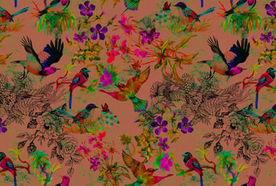 Behang walls by patel funcky birds 3