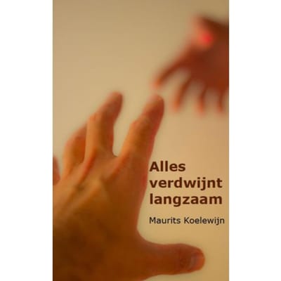 Alles Verdwijnt Langzaam - Maurits Koelewijn