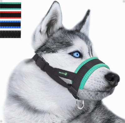 Hondenmuilkorf - Hondenmasker - Voorkomen van Bijten - Verstelbare Pasvorm - Maat M - Groen