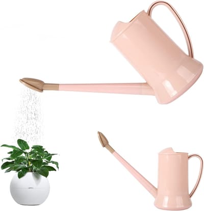 Lichte 2 Liter Gieter met Lange Spout en Afneembare Vernevelaar voor Binnen en Buiten, Ideaal voor Tuin, Bloemen en Bonsai Planten