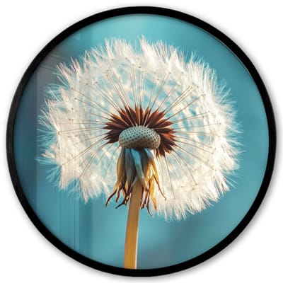 Poster in lijst Rond - Fotolijst 40x40 cm - Posters - Paardenbloem - Natuur - Bloemen - Blauw - Ronde posterlijst zwart - Decoratie - Wanddecoratie woonkamer - Muurdecoratie slaapkamer