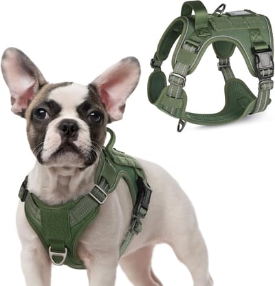 Famanu – Hondentuig Tactische Hondentuigje met Molle Paneel en Handvat - Reflecterend Verstelbare Hondenharnas voor Kleine Hond - Borst Harnas Honden voor Wandelen Training - Groen - S
