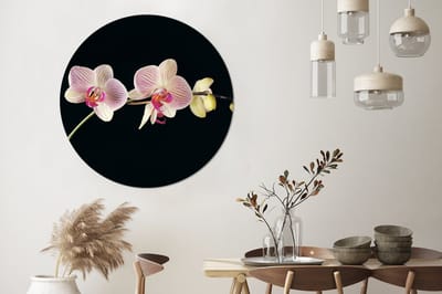 WallCircle - Wandcirkel - Muurcirkel - Orchidee - Bloemen - Zwart - Roze - Knoppen - Aluminium - Dibond - 140x140 cm - Binnen en Buiten