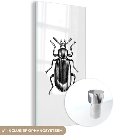 MuchoWow® Glasschilderij 20x40 cm - Schilderij acrylglas - Kever - Dieren - Vintage - Foto op glas - Schilderijen