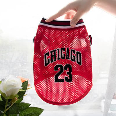 Vêtements pour Chien en Maille Respirante Gilet Schnauzer Teddy Sport Grand Chien Animal de Compagnie Chat Chemises Vêtements T-Shirts pour Chiot pour Petits Grands Chiens XS