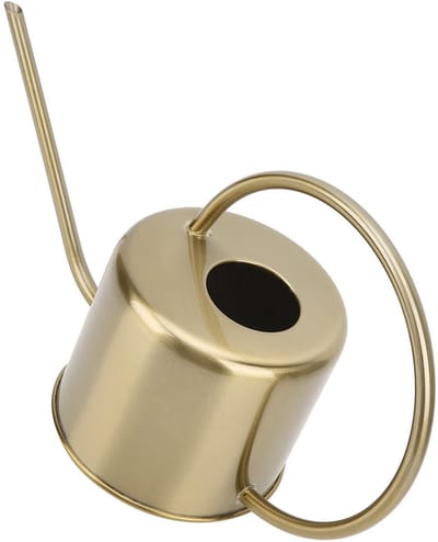 Dailygoods- Gieter met lange tuit - Gieter voor binnen - Gieter roestvrij staal - Sproeipot - Retro gietkan - Ergonomische handgreep