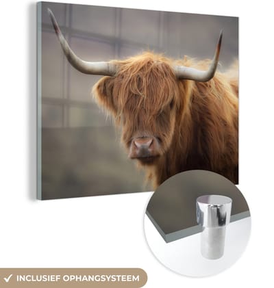 MuchoWow® Glasschilderij 160x120 cm - Schilderij acrylglas - Schotse Hooglander - Hoorns - Haar - Foto op glas - Schilderijen