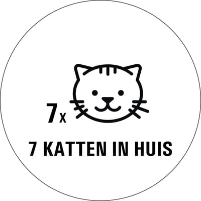 Katten in huis sticker - 80 x 80 mm 7