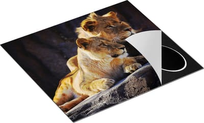 Chefcare Inductie Beschermer Leeuw en Leeuwin zitten naast elkaar - 60x50 cm - Afdekplaat Inductie - Kookplaat Beschermer - Inductie Mat
