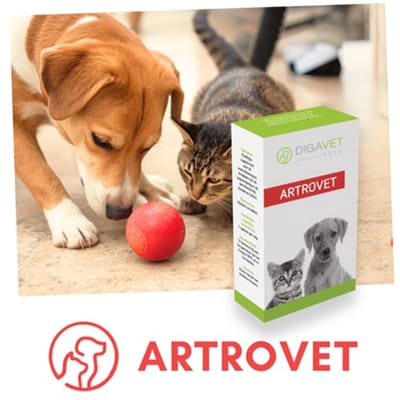 ARTROVET