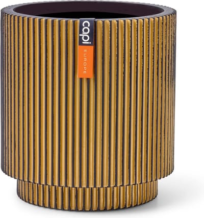 Capi Europe - Vaas cilinder Groove Black & Gold - 8x9 - Goud - Opening Ø7 - Bloempot voor binnen - 5 jaar garantie - BGVGB311
