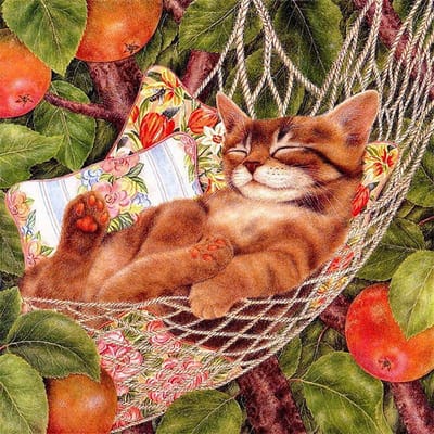Borduren Cross Stitch Gift Handgemaakt om van de kat te genieten Diamond Painting Volledige ronde boor Handgemaakt 30x30CM