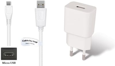 OneOne 2A lader + 1,0m standaard Micro USB kabel. Universele oplader adapter past op JBL Synchros, E25BT, PIVOT, REACT, Soundgear BTA, J56BT, Tuner 1, Micro 2