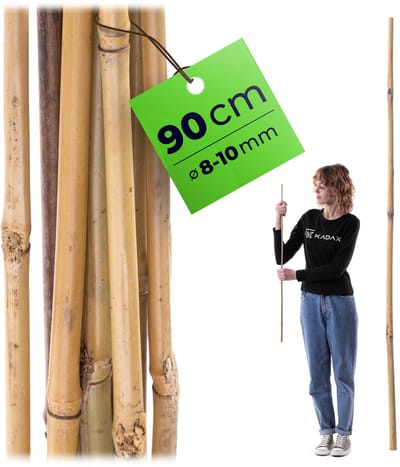KADAX bamboestok 90 cm x 10 mm, 1 stuk, plantenstok van bamboe als klimsteun voor tomatenplanten en klimplanten, plantenstok voor tuin en kas