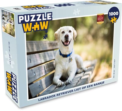 Puzzel Labrador Retriever ligt op een bankje - Legpuzzel - Puzzel 1000 stukjes volwassenen