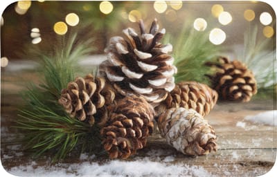WC mat 80x50 cm - Antislip - Dennenappels - Kerstsfeer - Bruin - Groen - Toiletmat - Vloermat - Douchemat - Toilet tapijt - Toiletmatten