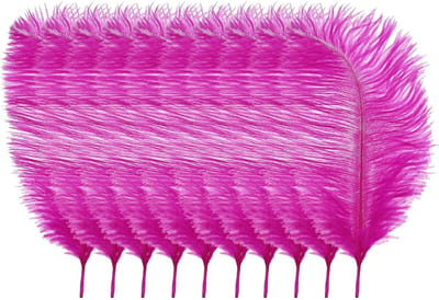 Dailygoods- Struisvogelveren 10 stuks - Decoratie veren - Kunst ambachten - DIY - Fluffy veren - 25cm-30cm (10"-12") - Decoratieveren