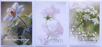 3 Wenskaarten - Sterkte + 2 x Met Oprechte Deelneming - 12 x 17 cm – CON-305