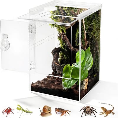 carmdering - Acryl Reptiel Voerbak -6*6*9in Transparant Insecten Terrarium - Springspin, Hagedis, Slak, Kever - 360° Zichtbaar Kleine Huisdier Kwekerij - Eenvoudig te Monteren Met Luchtopeningen - Ideaal voor Reptielenliefhebbers en Eigenaren