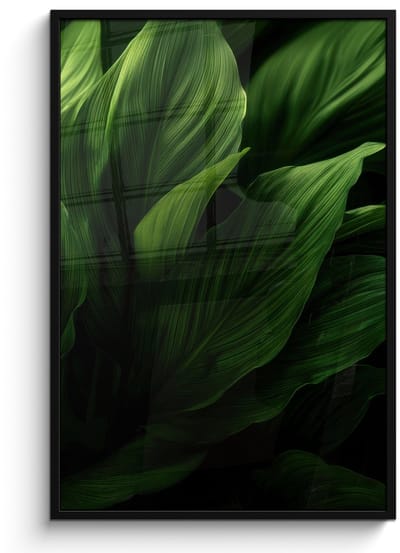 Poster in lijst - Fotolijst 80x120 cm - Posters - Bladeren - Schaduw - Groen - Textuur - Posterlijst zwart - Decoratie - Wanddecoratie woonkamer - Muurdecoratie slaapkamer