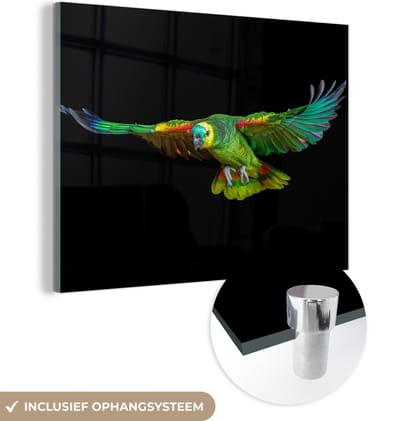 MuchoWow® Glasschilderij 160x120 cm - Schilderij acrylglas - Papegaai - Vogel - Veren - Foto op glas - Schilderijen