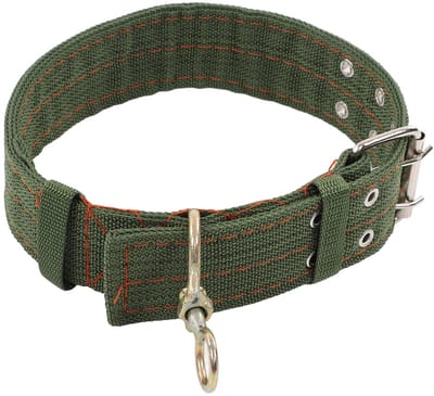 Dailygoods- Halsband Slijtvast - Hondenhalsband - Duurzaam - Zacht en Comfortabel - Geschikt voor Boerderijdieren - Dikke Gesp - Geitenhalsband