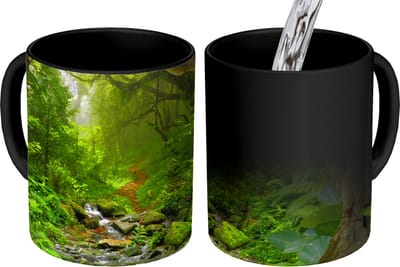 Magische Mok - Foto op Warmte Mokken - Koffiemok - Natuur - Water - Jungle - Bos - Tropisch - Magic Mok - Beker - 350 ML - Theemok