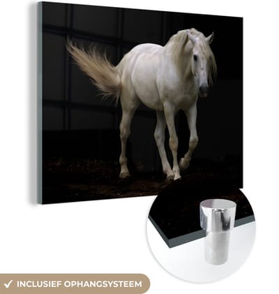 MuchoWow® Glasschilderij 160x120 cm - Schilderij acrylglas - Paarden - Boerderijdieren - Zwart - Foto op glas - Schilderijen