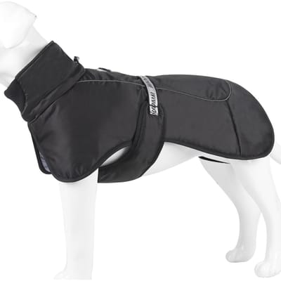 Winter Hondenkleding Voor Middelgrote Grote Honden Winddicht Reflecterend Warm Jas Jas Franse Bulldog Jas Teckel Labrador Outfits XL white