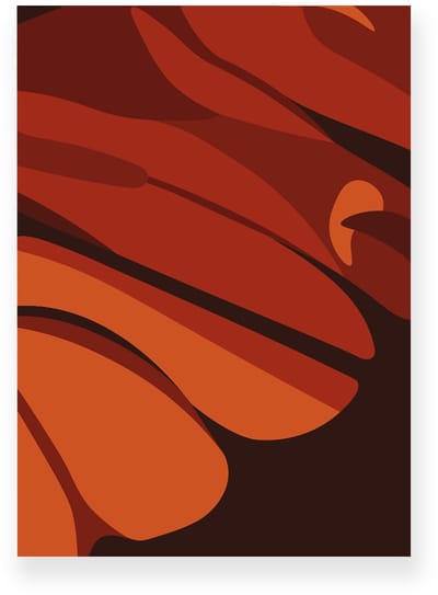Poster 20x30 cm - Vlindervleugel Detail - Rood - Oranje - Modern - Organisch - Muurdecoratie - Wanddecoratie