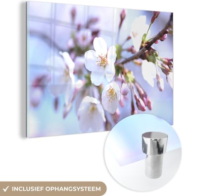 MuchoWow® Glasschilderij 120x80 cm - Schilderij acrylglas - Bloemen - Sakura - Tak - Foto op glas - Schilderijen