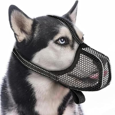 Muilkorf voor honden - fosforescerend - verstelbaar en ademend - voorkomt inslikken van afval - ShopVlot