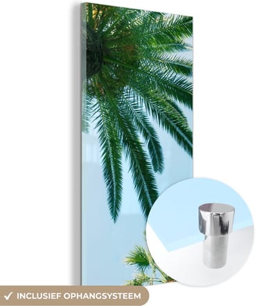 MuchoWow® Glasschilderij 20x40 cm - Schilderij acrylglas - Palmbladeren - Lucht - Zomer - Tropisch - Foto op glas - Schilderijen