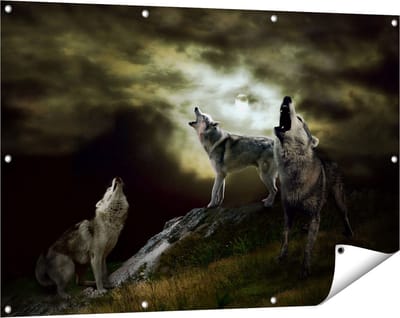 Gards Tuinposter Drie Huilende Wolven tijdens Volle Maan - 120x80 cm - Tuindoek - Tuindecoratie - Wanddecoratie buiten - Tuinschilderij