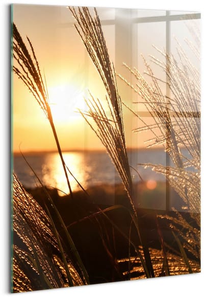 Wallfluent Glasschilderij - Tarwe in het gouden uur Schilderij Op Glas - 70x100 cm - Bruin Verticale Muurschildering - Natuur Foto In Glas - Foto Glas - Glas Foto