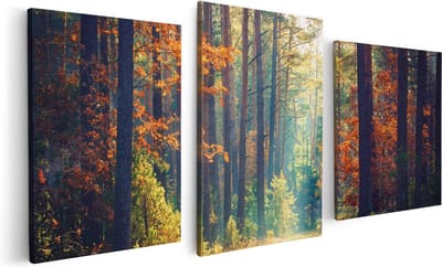 Artaza Canvas Schilderij Drieluik Herfstbos Met Zonneschijn - Kleur - 120x60 - Foto Op Canvas - Canvas Print