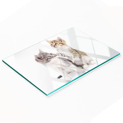 Gehard multifunctioneel decoratief bord van glas met twee kleine katjes, 80x52 cm