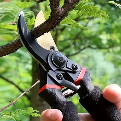 Multifunctioneel tuintrimmgereedschap, robuuste scherpe handmatige trimmer, professionele en duurzame plantsnoeischaar