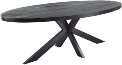 Meubelplaats Zwarte mango Eettafel Ovaal met zwarte matrixpoot van metaal 160x90 - industrieel Design - Massief zwart Mangohout