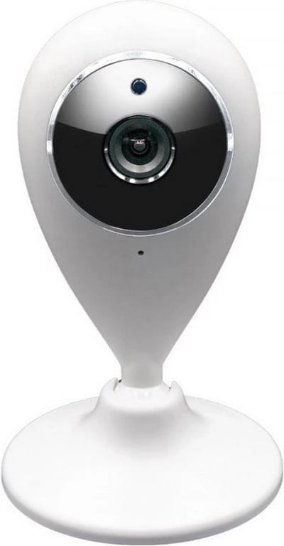 Fontastic 253867 WiFi-IP camera met bewegingsdetectie - nachtzicht - opname op microSD