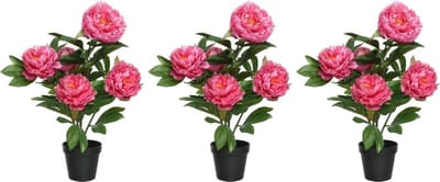 4x stuks roze Paeonia/pioenroos rozenstruik kunstplant 57 cm in zwarte plastic pot - Kunstplanten/nepplanten - Pioenrozen